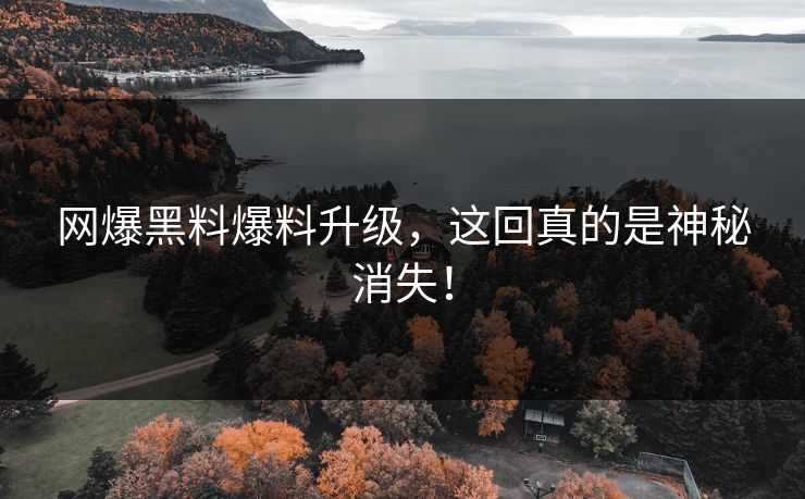 网爆黑料爆料升级，这回真的是神秘消失！