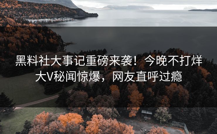 黑料社大事记重磅来袭！今晚不打烊大V秘闻惊爆，网友直呼过瘾