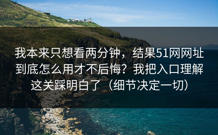 我本来只想看两分钟，结果51网网址到底怎么用才不后悔？我把入口理解这关踩明白了（细节决定一切）