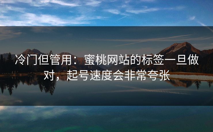 冷门但管用：蜜桃网站的标签一旦做对，起号速度会非常夸张